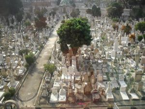 162854_1584405888773_990516_n