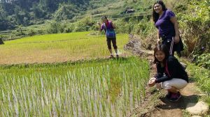 Passed by at the rice terraces field while going to 