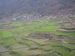 rice terraces