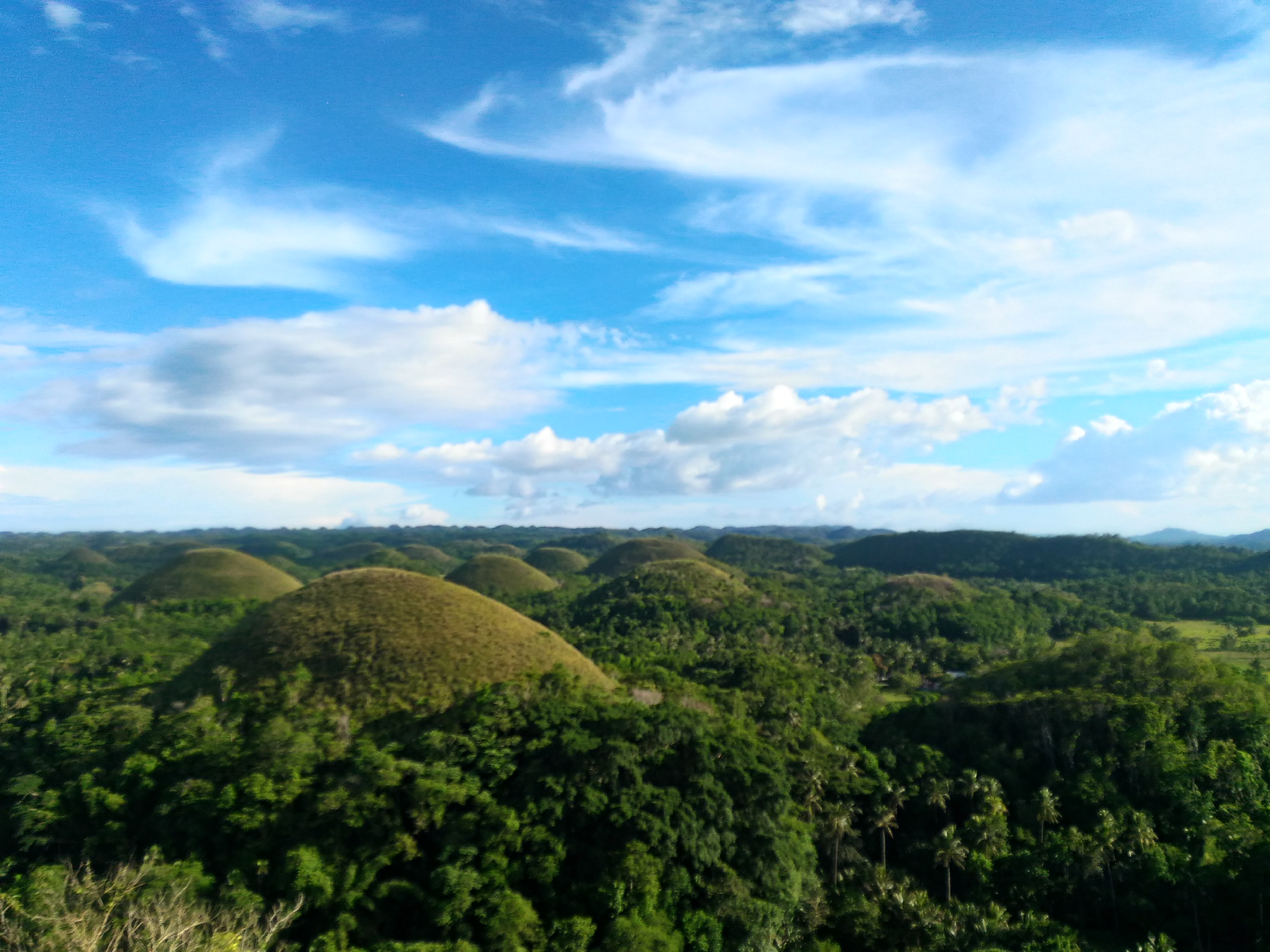 P_20170505_163545_HDR