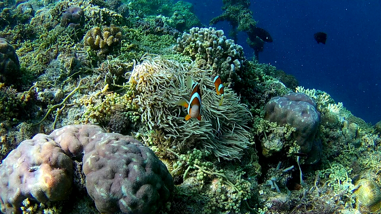 Screenshot_20170516-132002