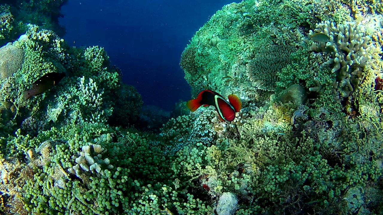 Screenshot_20170516-132229